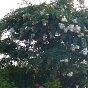 Meet your Posher, Nargiza